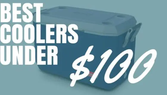 Best Coolers Under $100