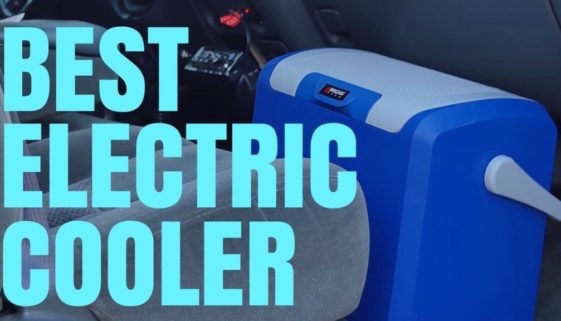 Wagan Is The Best Electric Cooler