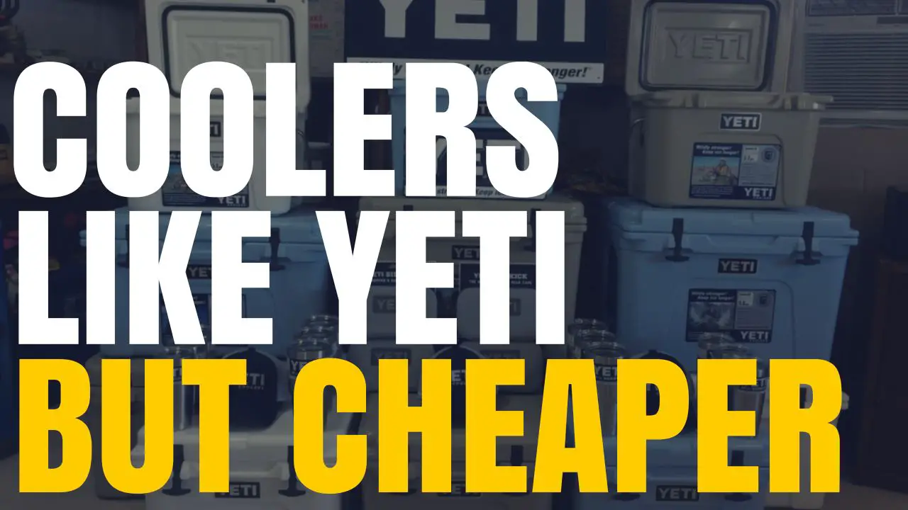 cooler like a yeti but cheaper