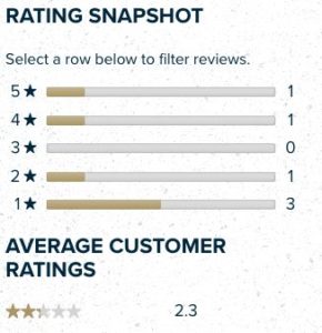 Yeti Brick Review Snapshot