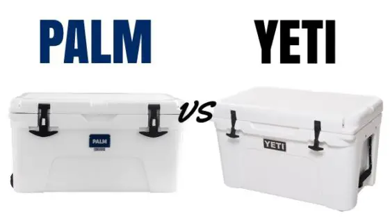 Palm Coolers vs Yeti