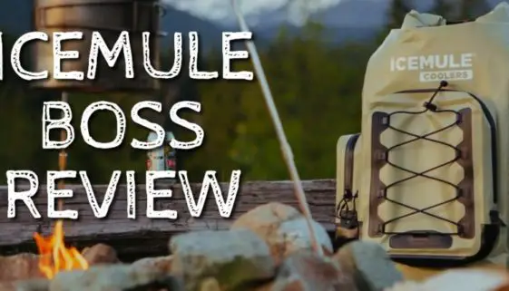 IceMule Boss Review