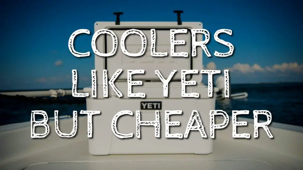 cooler like a yeti but cheaper