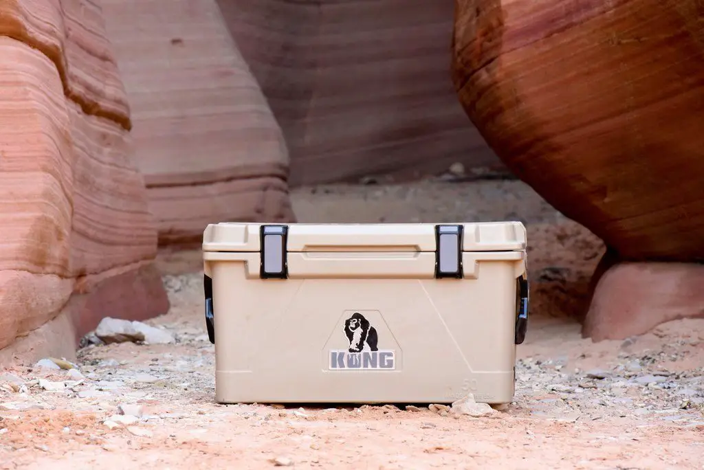 11 Best Coolers For Ice Retention Keep Ice Longest RANKED The Cooler Box