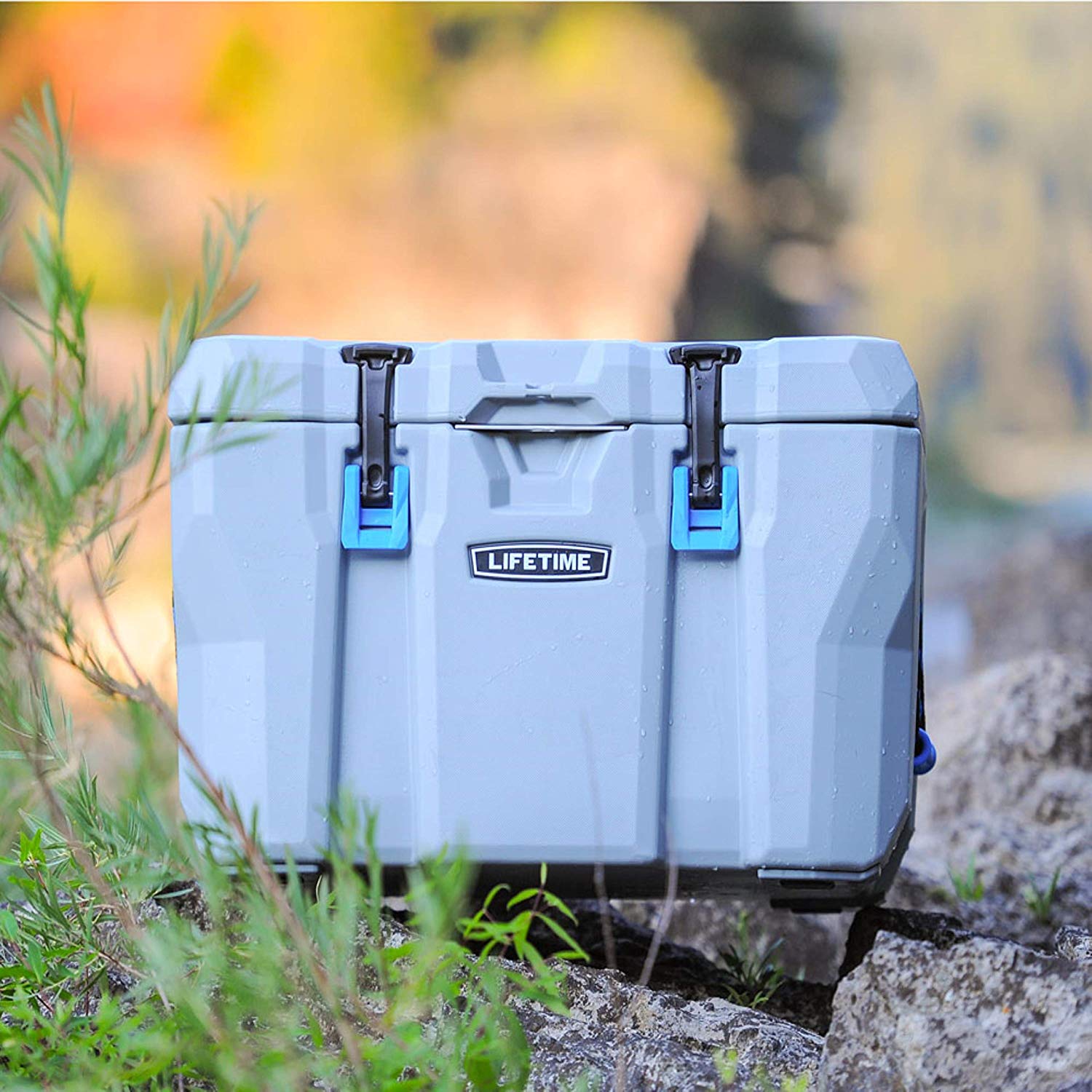 Lifetime Coolers - c2suiw6