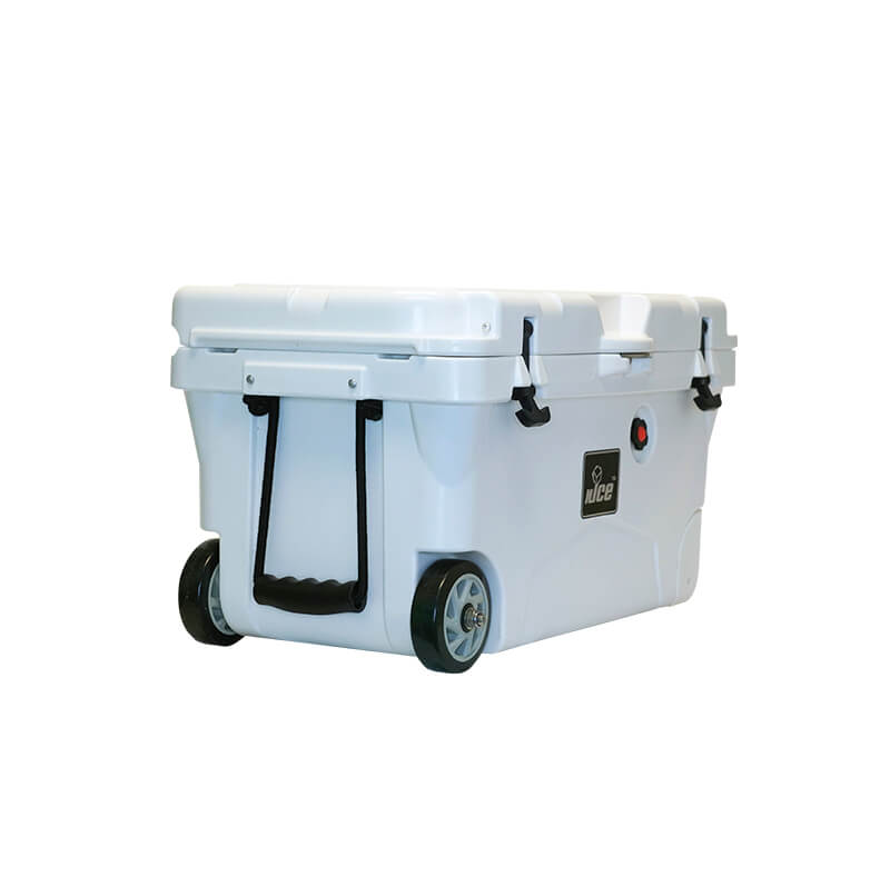 nicecooler50quartg33d The Cooler Box