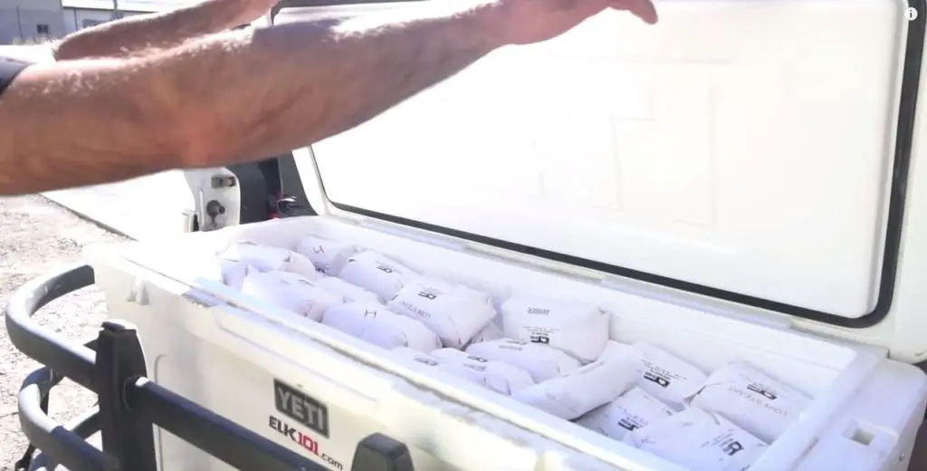 What Size Cooler For Deer EXPLAINED IN DETAIL The Cooler Box