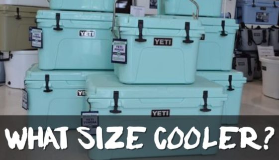 what-size-cooler-do-you-need