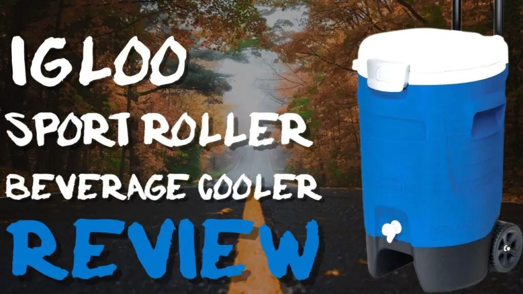 igloo sport beverage cooler