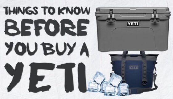 Things To Know Before You Buy a Yeti