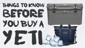 Things To Know Before You Buy a Yeti