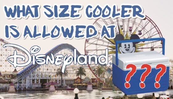 what-size-cooler-is-allowed-at-disneyland