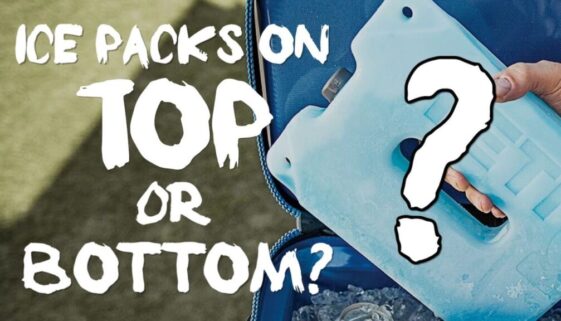 Do Ice Packs Go On Top or Bottom Of The Cooler?