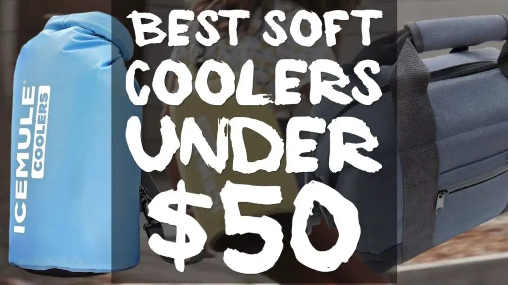 6 Best Budget Soft Coolers Under $50 