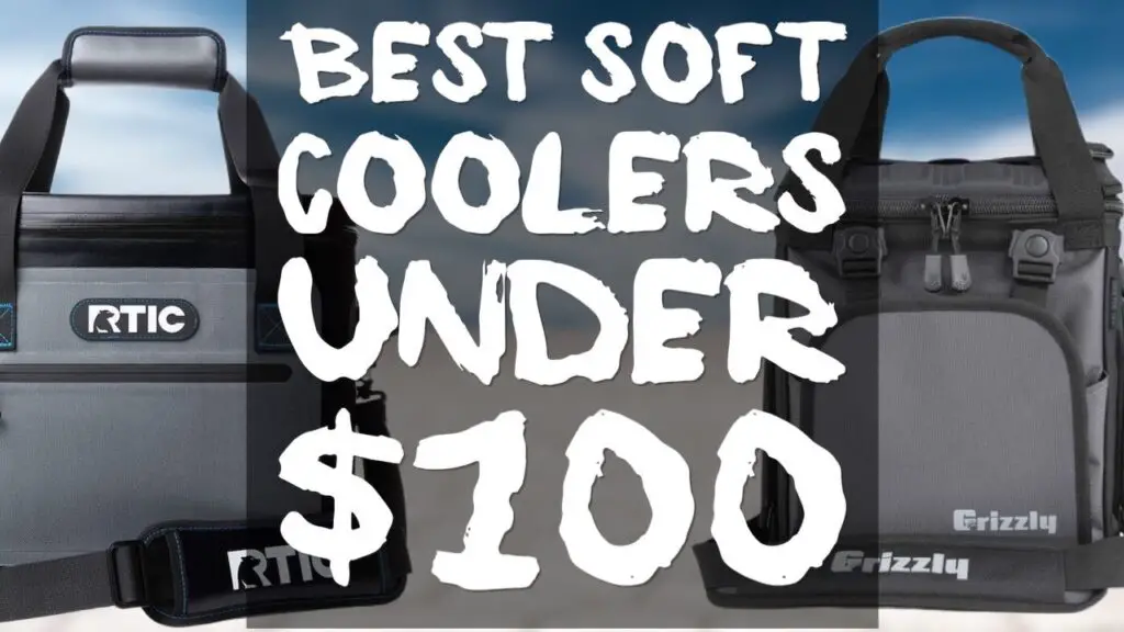 11 Best Cheap Soft Coolers Under $100 