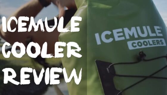 IceMule Cooler Review: Are These Soft Coolers Worth The Money?