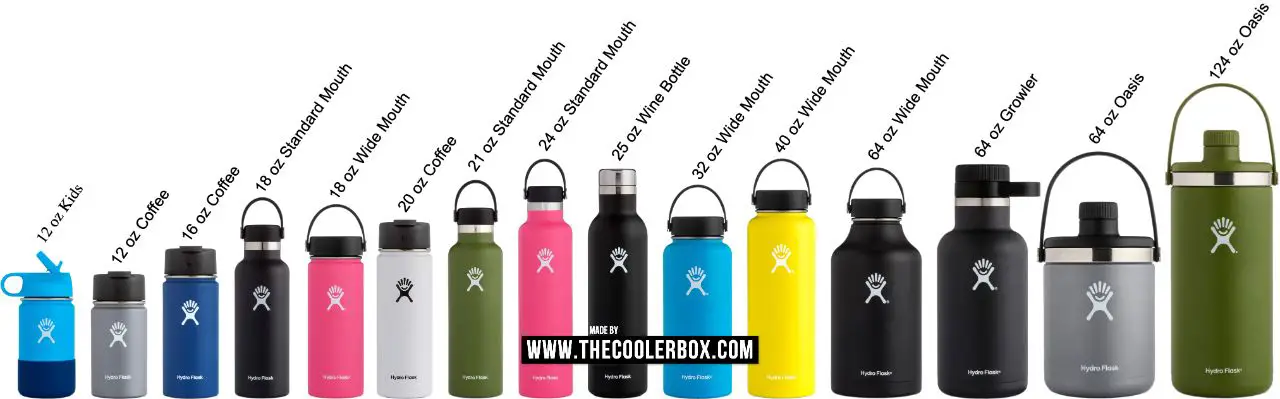 Most Popular Hydro Flask Size 