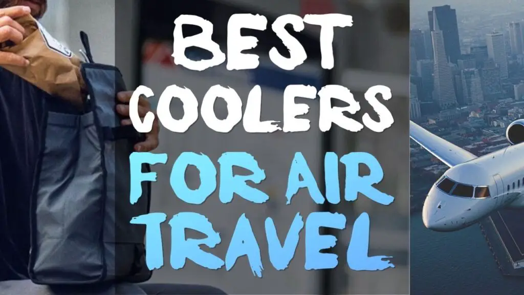 Best Coolers For Air Travel: Kept Your 