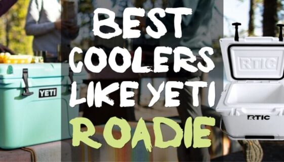 Best Coolers Like Yeti Roadie 20-Quart But Cheaper