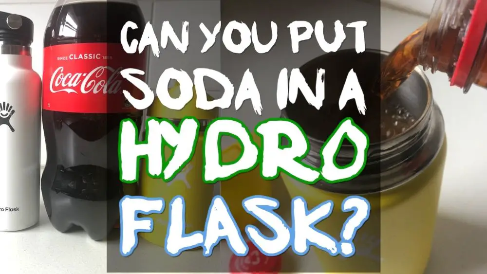 Can You Put Soda in a Hydro Flask? - The Cooler Box