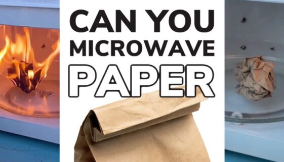 Can You Microwave Paper?