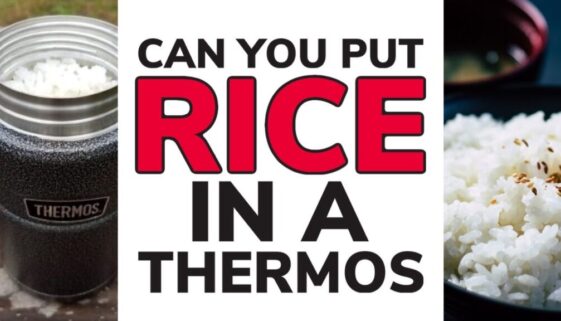 Can You Put Rice in a Thermos?