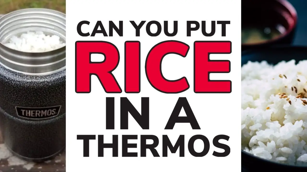 can-you-put-rice-in-a-thermos-the-cooler-box