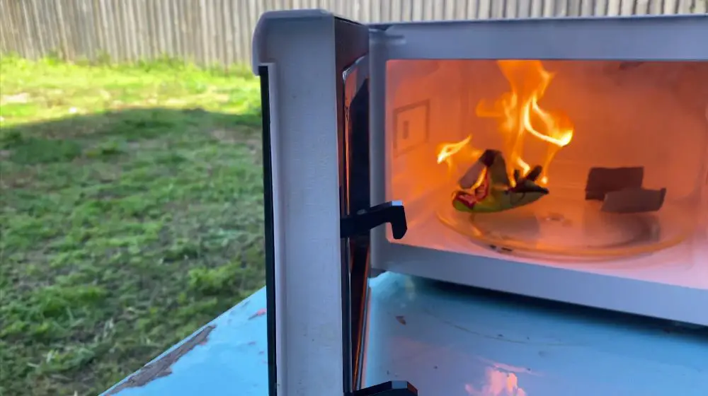 Can You Microwave Cardboard? Can They Set On Fire?! - The Cooler Box