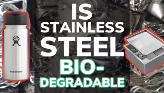 Is Stainless Steel Biodegradable?