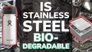 Is Stainless Steel Biodegradable?