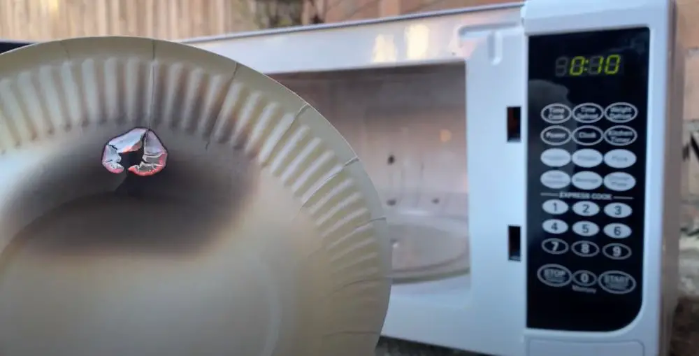 microwave-burned-hole-in-paper-plate - The Cooler Box
