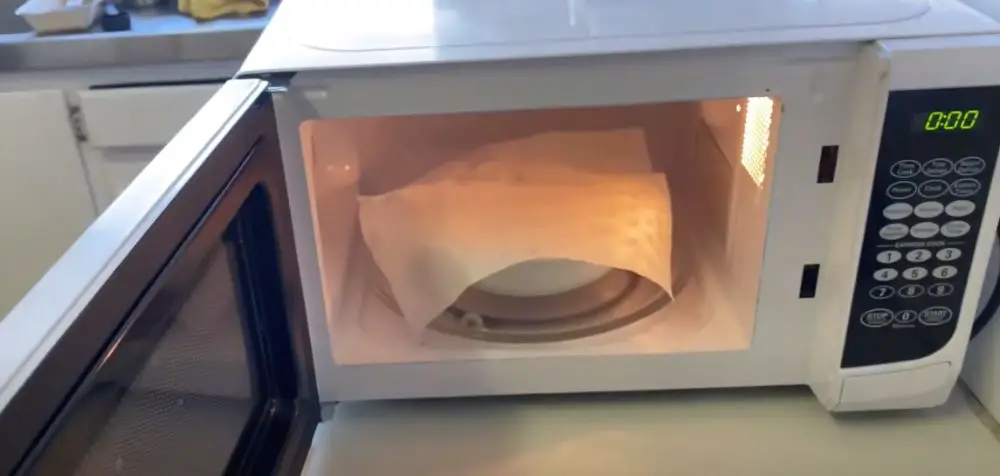 Here's Why Your Paper Towel Caught Fire In The Microwave - The Cooler Box