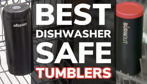 Best Dishwasher Safe Insulated Tumblers