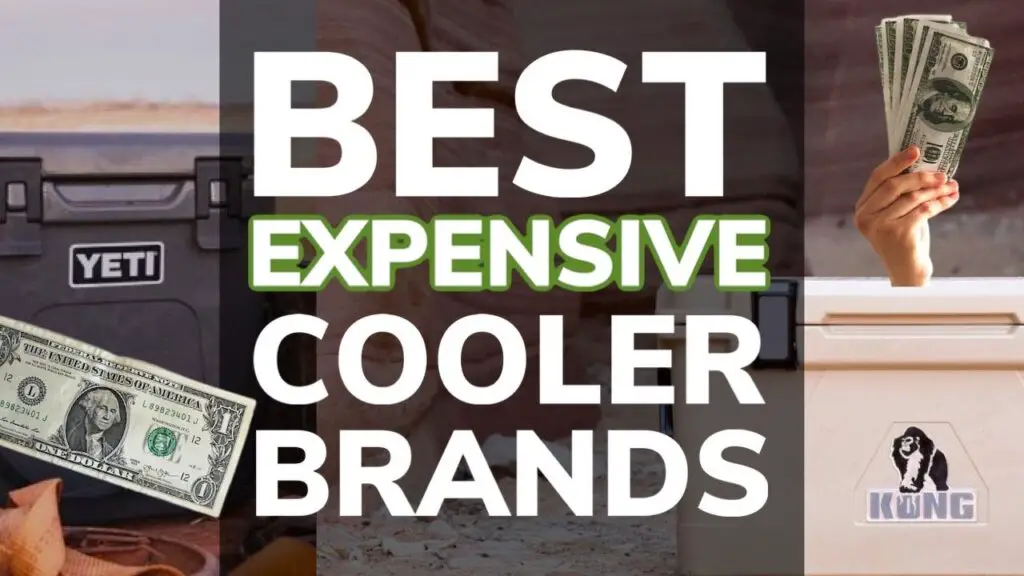 Best Expensive Cooler Brands