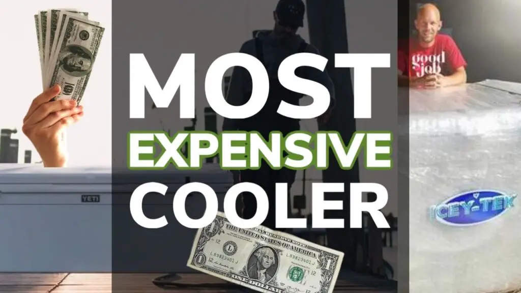 Most Expensive Cooler