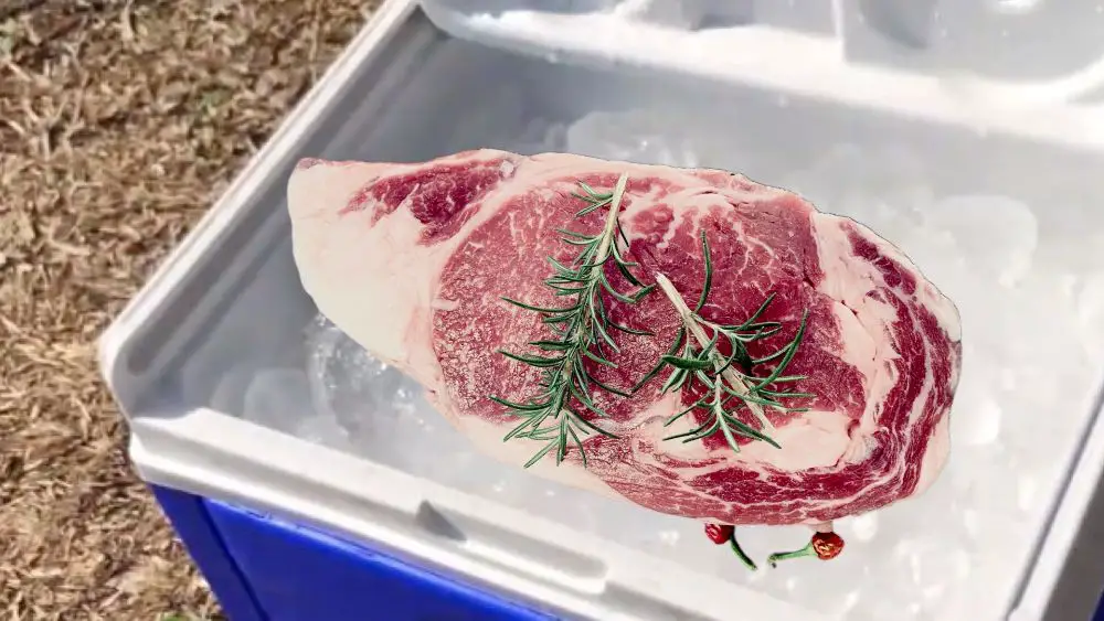 How Long Can Raw Meat Stay In a Cooler? The Cooler Box