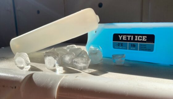 How Many Ice Packs Do You Need For Your Cooler?