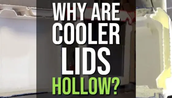Why Are Cooler Lids Hollow?